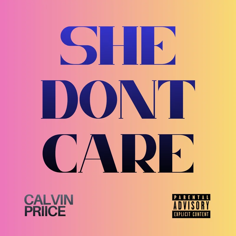 She Don't Care cover